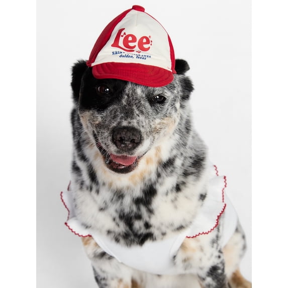 Kacey Lee Music Note Golden Texas Pet Baseball Hat for Cats & Dogs, Red, Size Extra Small/Small