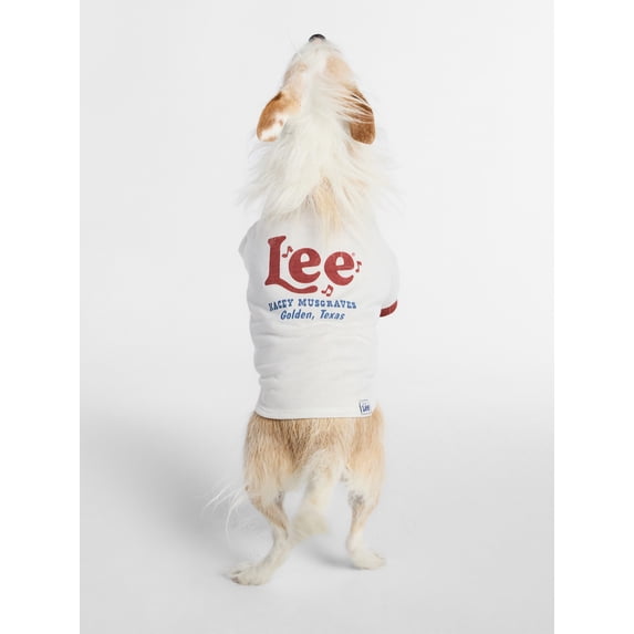 Kacey Lee Music Note Golden Texas Pet Tee for Cats and Dogs, White, Extra Small