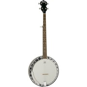 Washburn B11 Americana Series 5 String Banjo. Natural