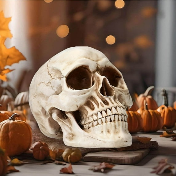 KMMYS Halloween Skeleton Head Decor, Resin Skull Artwork, Personalized Skull Decoration, Realistic Skull Figurine, Indoor Outdoor Tabletop Mantel Decor, Halloween Haunted Ambiance Decor