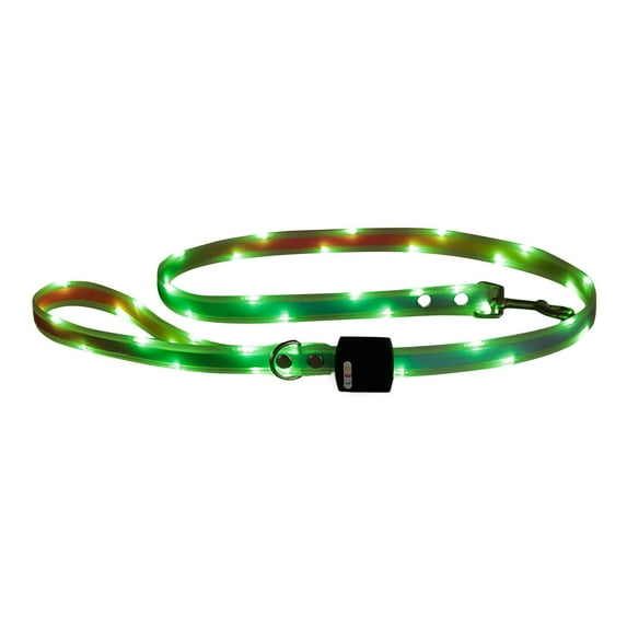 KMWGRE USB-C Rechargeable LED Dog Collar and Leash Set with Super Bright Reflective Glow Light for Outdoor Walking Green 150cm