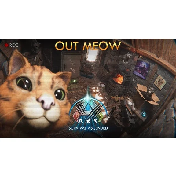 KNACK- Ark Survival Ascended Pve * New High Level * Cat Level 216 Female | Clone