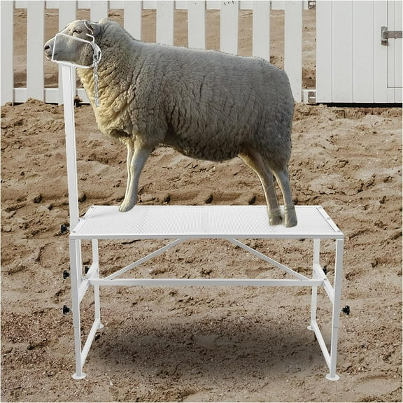 KOJEM Livestock Grooming Table Adjustable Goat Trimming Table for Sheep Goats Livestock Trimming Stand Metal 51x23 In