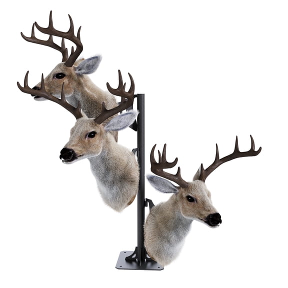 KOJEM Trophy Tree Shoulder Pedestal Mount Hunting Trophy Display Trophy Stand Adjustable Skull Mount Hang up to 3 Taxidermy Small to Medium Sized Heads