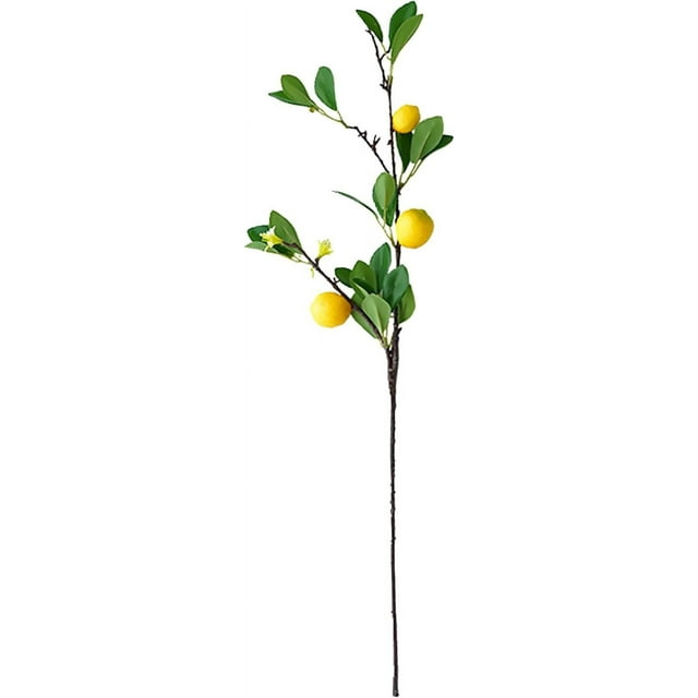 KOKArtificial Lemon Tree Branches for Vase, Yellow Fake Lemon Stems
