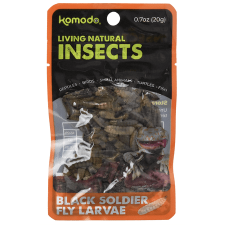 Komodo Black Soldier Fly Larvae Reptile Food