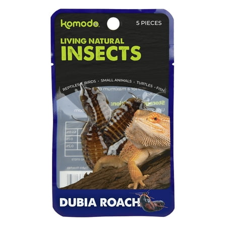 Komodo Reptile Food Dubia Roach Insect Snack, 5 pieces