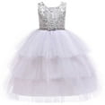 thumbnail image 1 of KONBECA Baby Girls Princess Dress, Little Girls Party Wedding Dresses, Evening Mesh Lace Dress Birthday Dress, Kids Pageant Flower Girl Sleeveless Dress, Birthday Gifts for Girls Silver (5-6 Years), 1 of 3