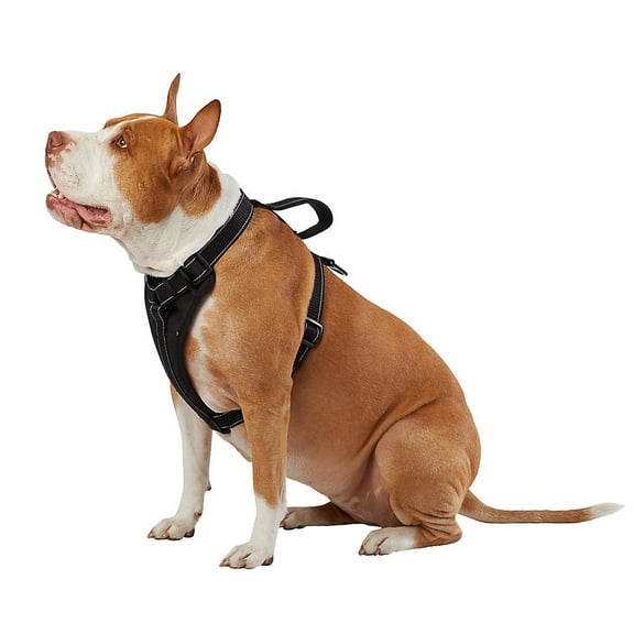 KONG Max Ultra Durable Neoprene Padded Chest Plate Dog Harness offered by The Barker Company (Black, Large)
