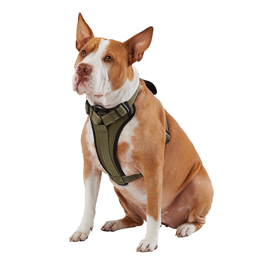 KONG Max Ultra Durable Neoprene Padded Chest Plate Dog Harness offered by The Barker Company (Green, Medium)
