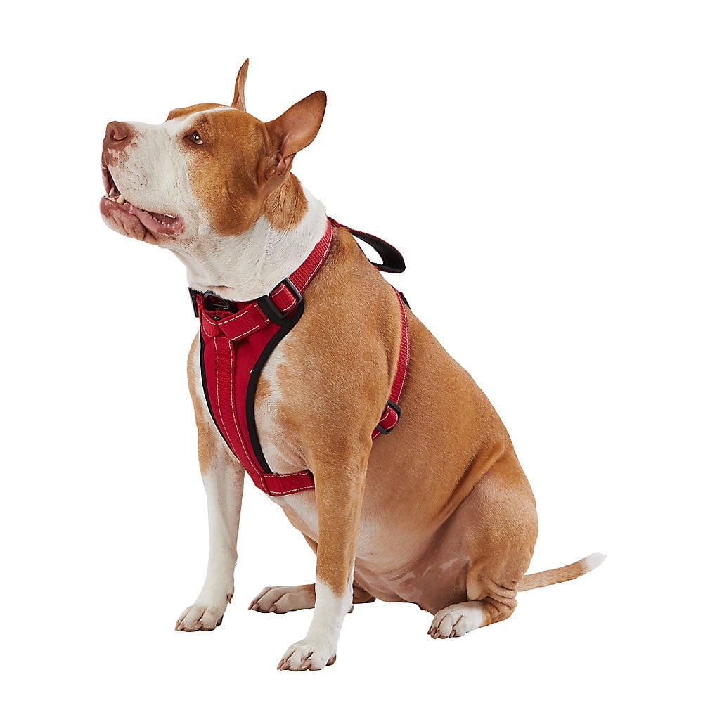 KONG Max Ultra Durable Neoprene Padded Chest Plate Dog Harness offered by The Barker Company (Red, Large)