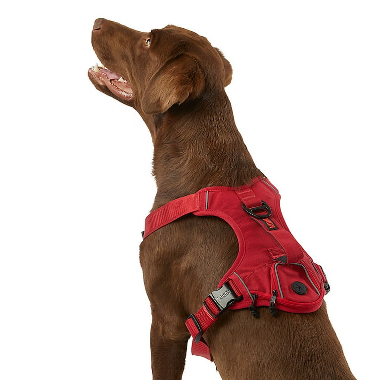 KONG Ultra Durable Waste Bag Harness Medium Red