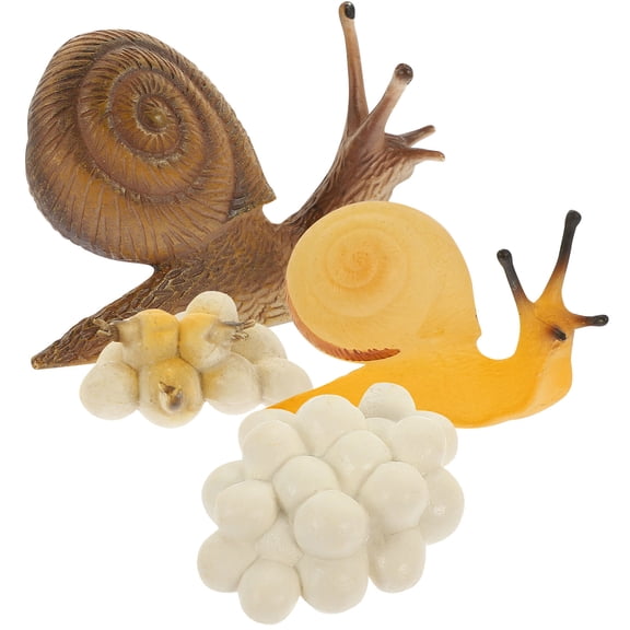 KONTONTY 1Set Snail Life Cycle Model Crafted from Safe Plastic for Biology Teaching Assorted Colors