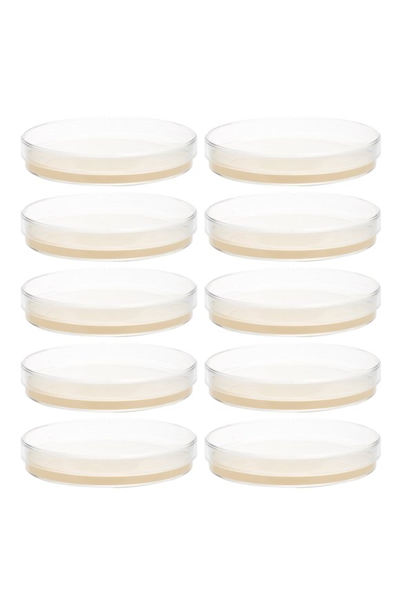10Pcs Pre-Poured Nutrient Agar Petri Plates for Labs with Easy Use and Fresh Growth