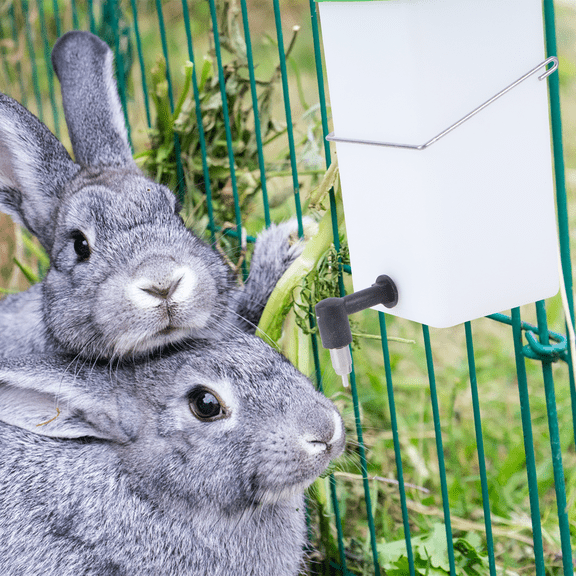 KONTONTY 1Pack Automatic Cage Water Cup Plastic White with for Pet Owners