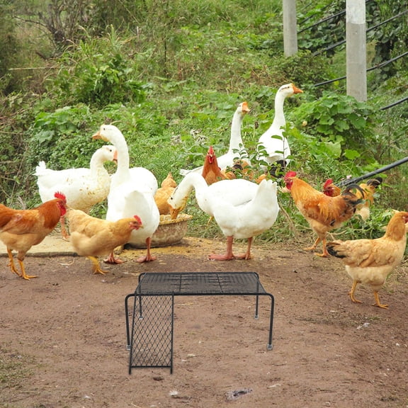 KONTONTY 1Set Farmhouse Chicken Rack with Ladder Ramp for Chicken Coop Safe Sturdy Pet Use