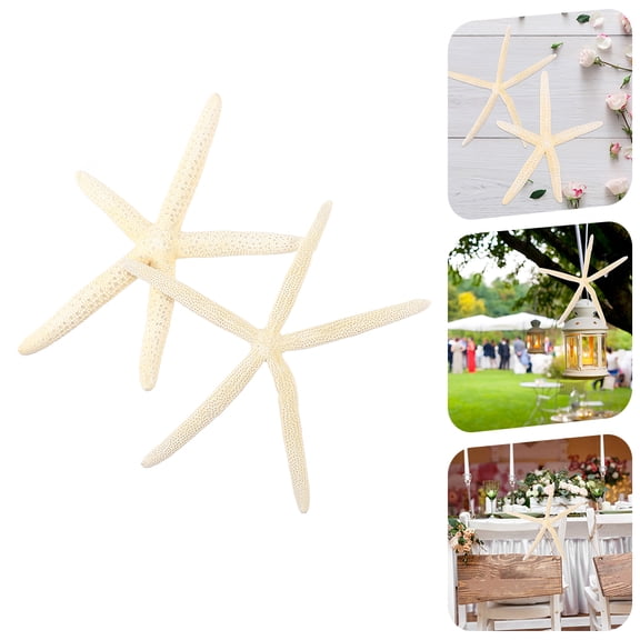 KONTONTY 2Pcs Natural Sea Star Decor White Beach Themed Wedding Party Table Accent
