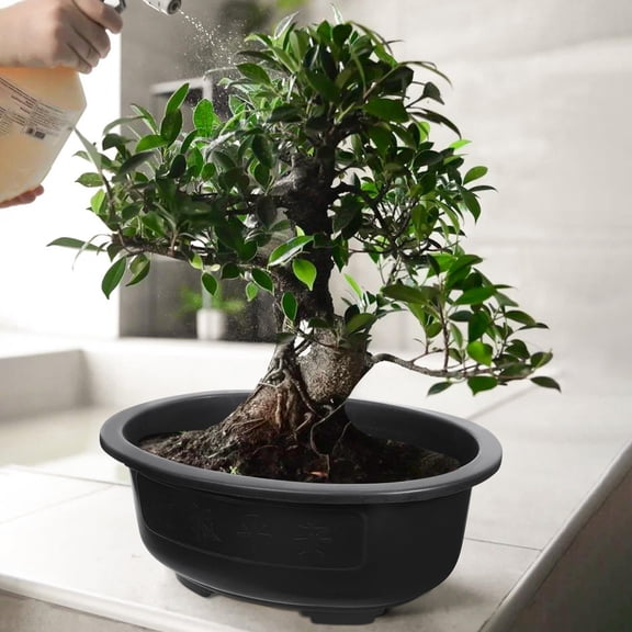 KONTONTY 2-Pack Reusable Black Plastic Bonsai Flower Pots with Drainage Holes for Office, Garden, Balcony Decor