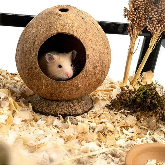 KONTONTY Small Pet Rest House for Hamsters and , Brown Hideout with Bite-Resistant Design