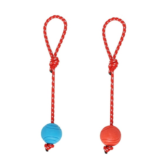 KONTONTY Chew Toy for Dogs Bouncy Ball Large Size