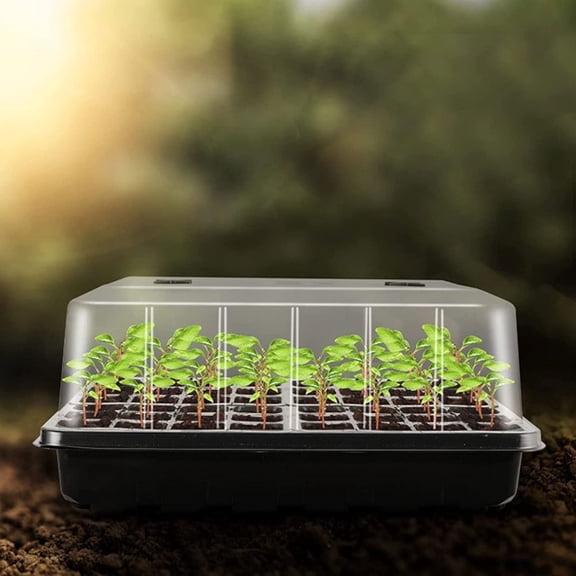 KONTONTY 1 Set Plant Germination Box with Cover Premium PP Material Assorted Color Gardening Use