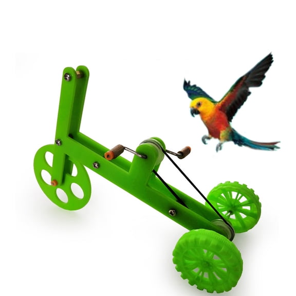 KONTONTY Parrot Bike Toy Set for Intelligence Development, Assorted Colors, 1 Piece Educational Training