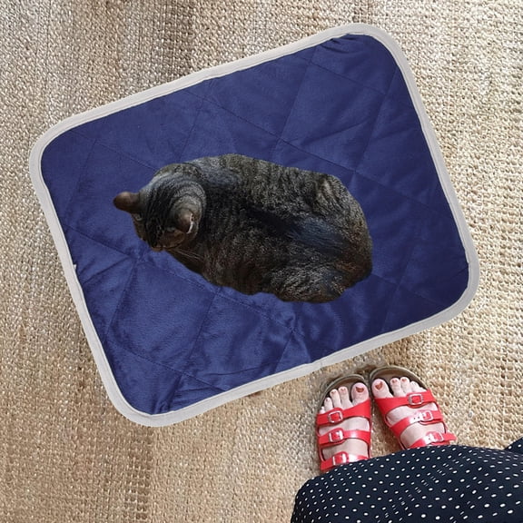 KONTONTY Self Heating Pet Mat Blanket for Furniture Puppy Blankets Heated Navy