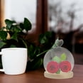 thumbnail image 1 of KONTONTY The Bell Jar Cloches Glass Cover Ornaments 14.00X12.00X12.00CM, 1 of 7
