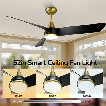KOOSOM 52 Inch Ceiling Fans with Lights,  Modern 52" Ceiling Fan Light with APP Remote Control, Black Gold