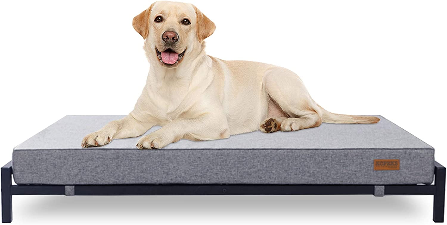 Large Gray Elevated Outdoor Dog Bed with Orthopedic Foam Mattress
