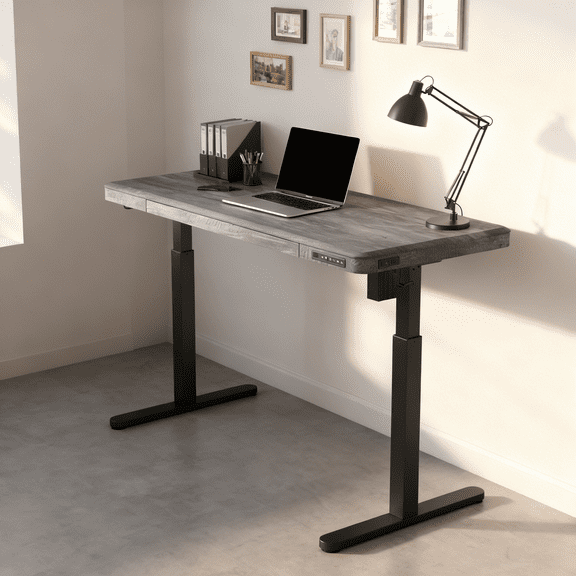 KOWO 48" K3101 Electric Height Adjustable Standing Desk with drawers,Gray Oak/Black
