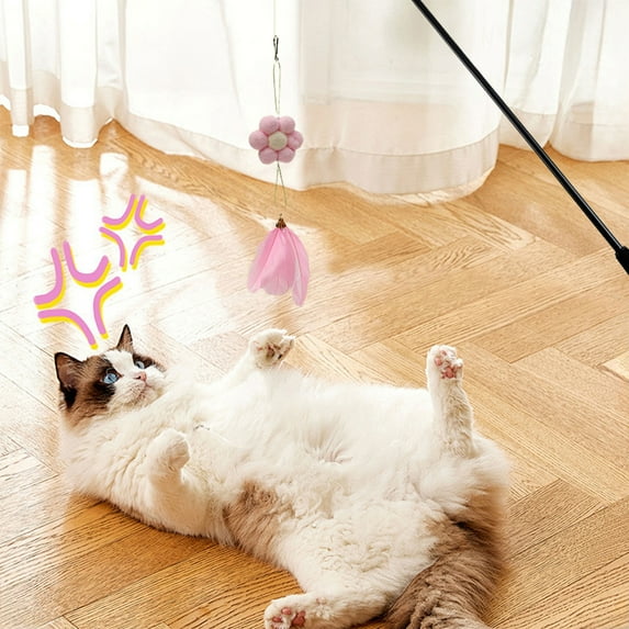 KOYPTL Cat Teaser Wand with Replaceable Feathers,Durable Teasing Sticks with Extendable & Retractable Wand,Interactive Hands Plume Cat Toy Fishing Pole for Bored Kitty Indoor/Outdoor Play & Exercise