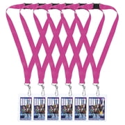 KPop Demon Hunters 6 Count 2.5IN x 4.5IN VIP Backstage Passes