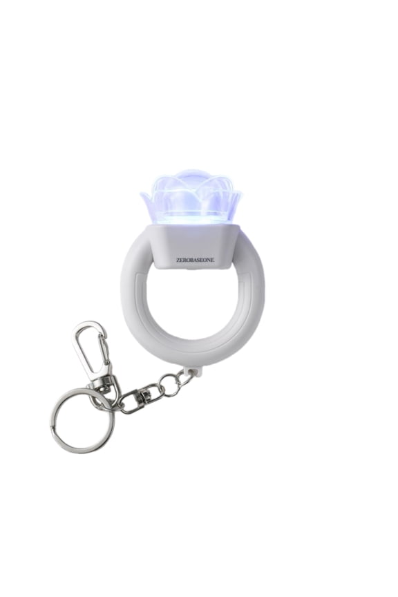KPOP Lightstick Keychain, Kpop Merch Merchandise Mini Light Stick Pendant for Bag Light Colour and Speed Adjustable Fans Gift Collection(Built-in battery)
