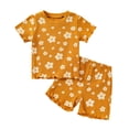 thumbnail image 1 of KPOPLK Girls Outfit Baby Girl Summer Baby Clothes Infant 9 12 18 24 Months Spring Short Sleeve Shirt Tops Cute Shorts Set,Sizes 18-24 Months, 1 of 9