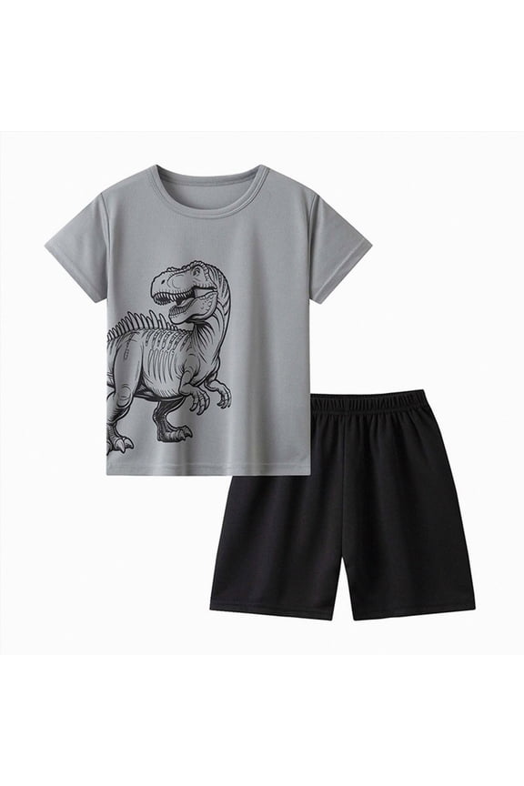 Toddler Boy Clothes 2 Pieces Cartoon Cute Print Crewneck Short Sleeve Tee Elastic Waist Cargo Shorts Summer Outfits Size 4-5 Years,Grey