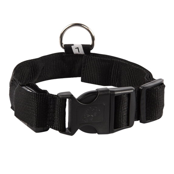 KQJQS Dog Collar USB Rechargeable Bright & High Visibility Lighted Collar For Pet Night Walking In 4 Colors