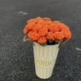 thumbnail image 1 of KQJQS Handmade Crochet Flowers, Knitted Red Rose Artificial Wool for Girls' Gifts, Wedding Bouquets, Anniversaries, Valentine's Day, Women's Day, Mother's Day, 1 of 1