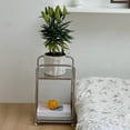 thumbnail image 1 of KQJQS Small Coffee Table Side Cabinet, 2-Tier Stainless Steel Storage Rack, Sofa Table Bedside Cabinet, Space-Saving Small Furniture for Living Room or Bedroom, 1 of 6