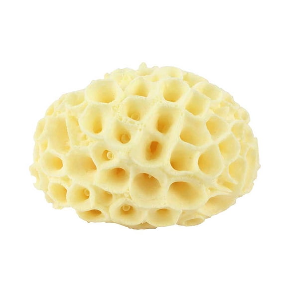 KRONDO Quick-Dry Bath Sponge with Hanging Loop - Lathers Well, Saves Soap, Gentle Exfoliation