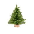 thumbnail image 1 of KSA 12" Miniature Canadian Pine Artificial Christmas Tree, Unlit, 1 of 1