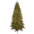 thumbnail image 1 of KSA 9' Pre-Lit Frasier Fir Artificial Christmas Tree, Warm White LED Lights, 1 of 2