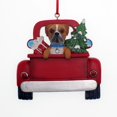 thumbnail image 1 of KSA Pack of 12 Boxer in Back of Truck Christmas Ornaments 3.25", 1 of 2