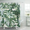 thumbnail image 1 of KSADK Blue Bird Pattern from Tropical Palm Tree On Milk Teal Tint Color Deep Fill Foliage Shower Curtain 66x72 inch, 1 of 1