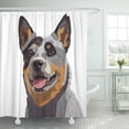 thumbnail image 1 of KSADK Blue Heeler Australian Cattle Dog Animal Beautiful Canine Closeup Detailed Domestic Shower Curtain Bath Curtain 60x72 inch, 1 of 1