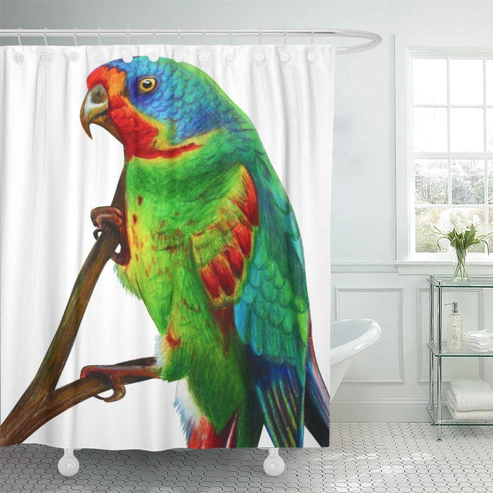 KSADK Green Parrot Portrait Red Lo Amazon Drawing Green Parrot Mexico