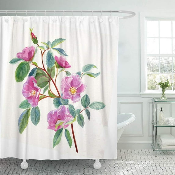 KSADK Pink Flowers Wild Rose on White Watercolor of Roses Sitka Alaska Blossoms Shower Curtain Bathroom Curtain 66x72 inch