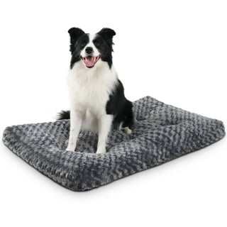  MABOZOO Indestructible Dog Bed for Aggressive Chewers,Tough  Chew Proof Dog Crate Pad for Small Puppy,Black Durable Dog Mat for  Kennel,Machine Washable,17x23 in : Pet Supplies