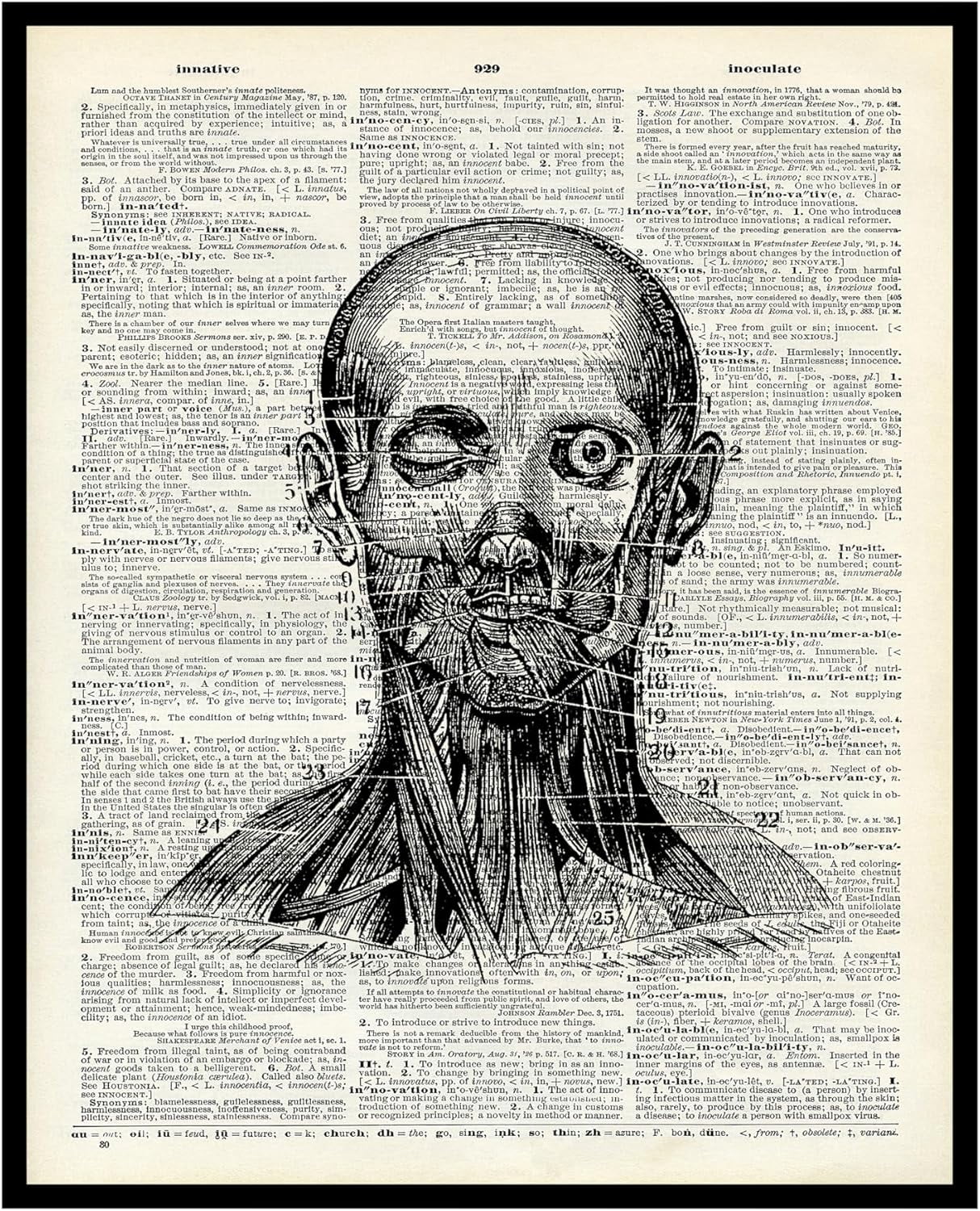 KSIW- Dictionary Art Poster - Anatomical Head Print - Anatomy Art ...