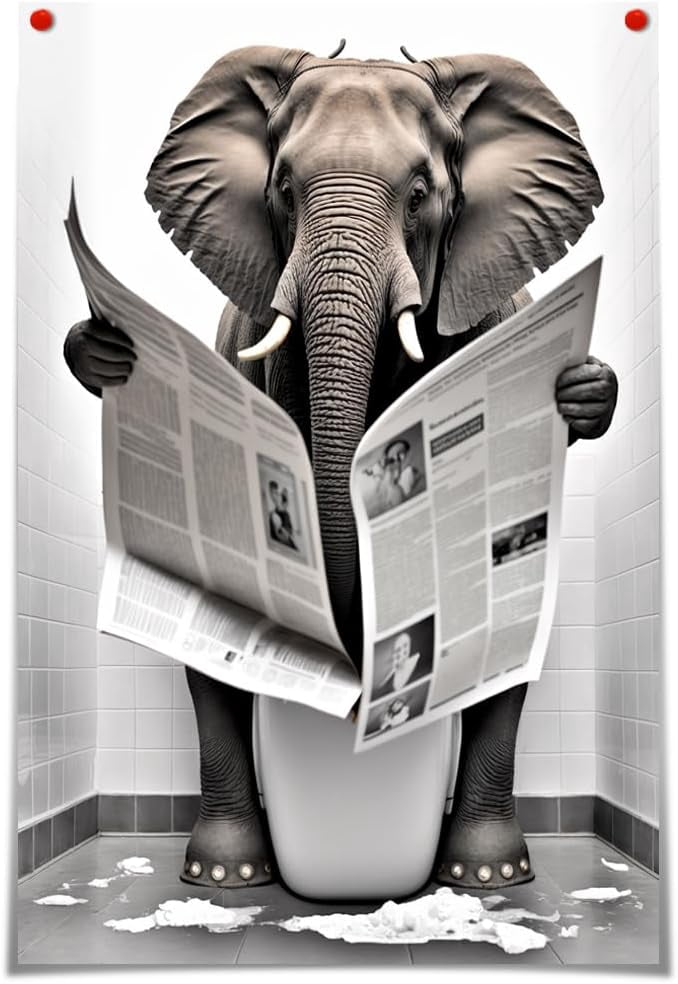 KSIW- Funny Elephant Bathroom Canvas Wall Art Elephant Reading ...